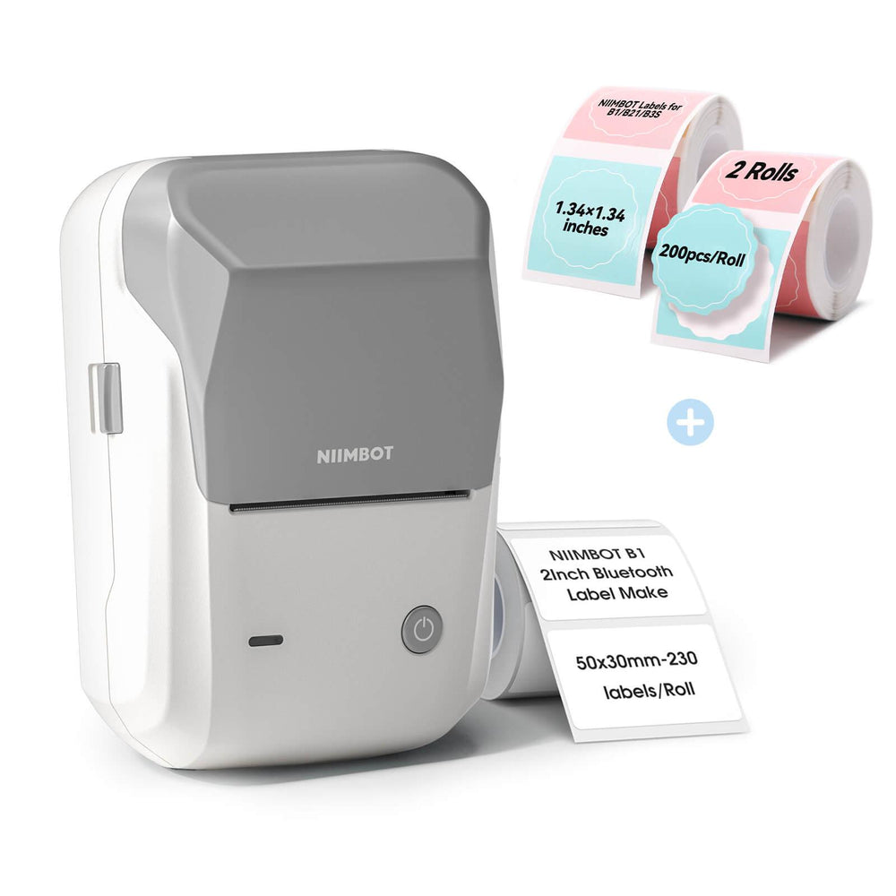 NIIMBOT B1 Thermal Logistics Label Printer, for Shipping Packages, Support Android, iPhone, Windows
