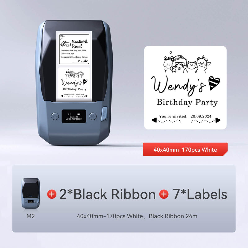 NIIMBOT M2 withe 1 black ribbon 7 40x40mm labels