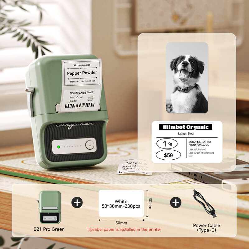 B21 Pro 300dpi Label Printer, Photo Printing, Bluetooth Connection for Home, Business, Office-25