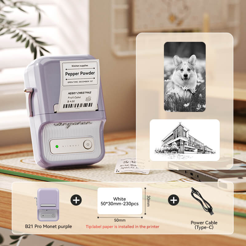 B21 Pro 300dpi Label Printer, Photo Printing, Bluetooth Connection for Home, Business, Office