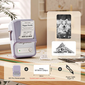 NIIMBOT B21 Pro 300dpi Label Printer, Photo Printing, Bluetooth Connection for Home, Business, Office