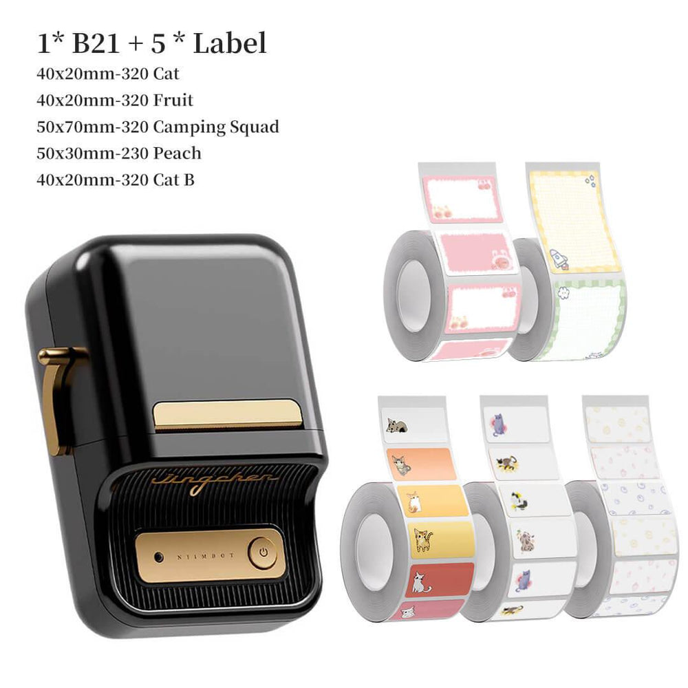B21 label maker set 2 black