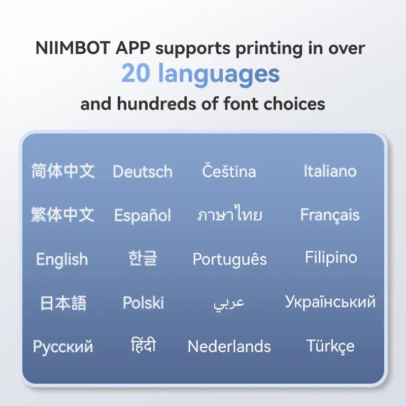 NIIMBOT B1 Thermal Logistics Label Printer