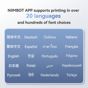 NIIMBOT B1 Thermal Logistics Label Printer
