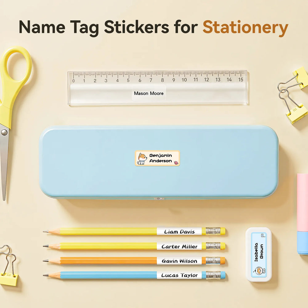 NIIMBOT white Label Tape Set